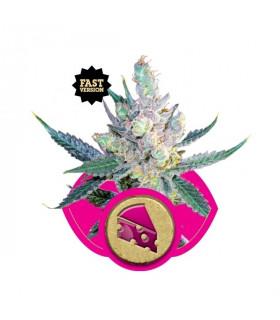 Royal Cheese Fast Version (RQS)