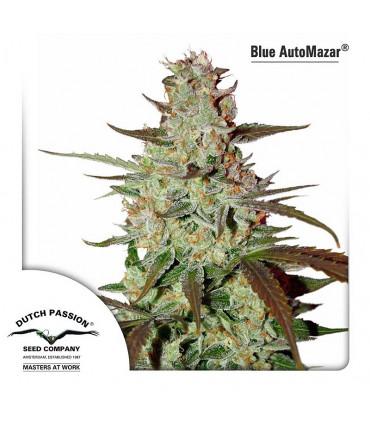 Blue AutoMazar
