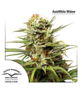 AutoWhite Widow