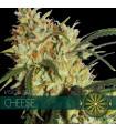Cheese