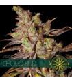 Choco Bud