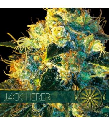 Jack Herer (Vision Seeds)