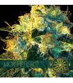 Jack Herer
