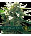 La Blanca Gold