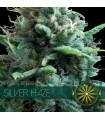 Silver Haze