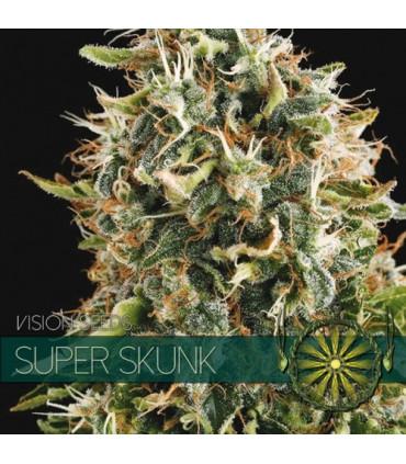 Super Skunk (Vision Seeds)