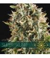 Super Skunk