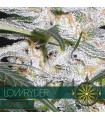 Lowryder AutoFem (Vision Seeds)