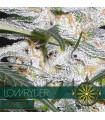 Lowryder AutoFem