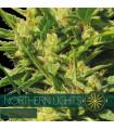 Northern Lights AutoFem