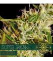 Super Skunk AutoFem