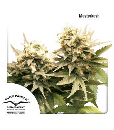 Masterkush