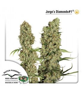 Jorge's Diamonds