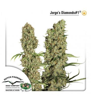 Jorge's Diamonds