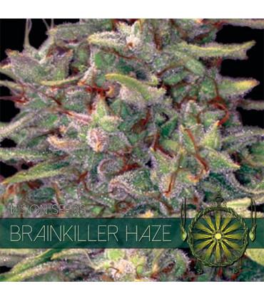 Brainkiller Haze (Vision Seeds)