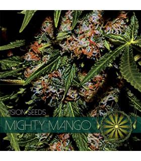 Mighty Mango Bud (VIsion Seeds)