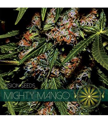 Mighty Mango Bud (VIsion Seeds)