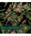 Mighty Mango Bud