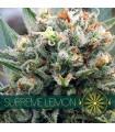 Supreme Lemon