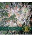 Tom Kush OG