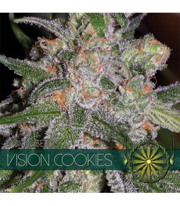 Vision Cookies (Vision Seeds)