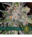 Vision Cookies