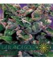 La Blanca Gold AutoFem