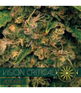 Vision Critical  AutoFem (Vision Seeds)