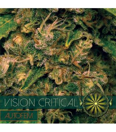 Vision Critical  AutoFem (Vision Seeds)