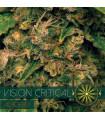 Vision Critical  AutoFem
