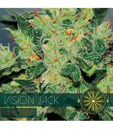 Vision Jack AutoFem (Vision Seeds)