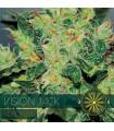 Vision Jack AutoFem