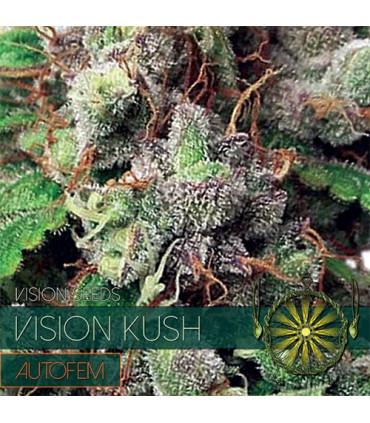 Vision Kush AutoFem (Vision Seeds)