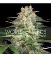 Afghan Kush Ryder
