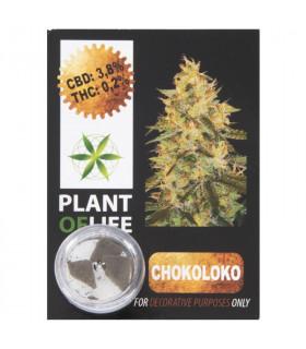 CBD Hash 3,8% Chokoloko