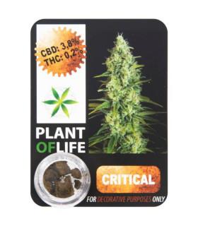 CBD Hash 3,8% Chokoloko