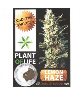 CBD Hash 3,8% Gorilla Glue