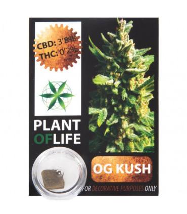 CBD Hash 3,8%  Lemon Haze