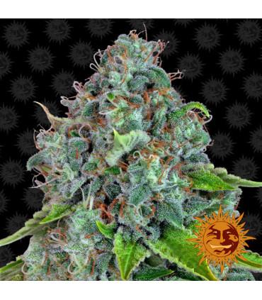 Strawberry Lemonade (Barney's Farm)