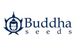Buddha Seeds