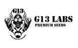 G13 Labs